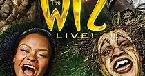 The Wiz Live! streaming: where to watch online?