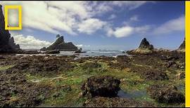 Olympic National Park | America’s National Parks