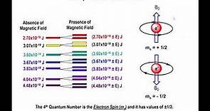 Lec14 - The Spin Quantum Number