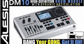 Alesis DM10 High Definition Drum Module: Why and How I Use It