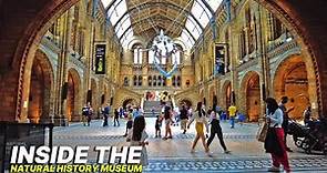 Museum Tour 🇬🇧 - INSIDE the Natural History Museum London 🏛 Uncover the history of life on Earth 🌍🌱
