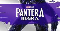 Black Panther - película: Ver online en español