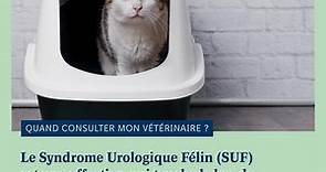 [QUAND CONSULTER MON... - Clinique vétérinaire Lazare Carnot