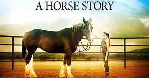 A Horse Story | Funny Family Horse Movie