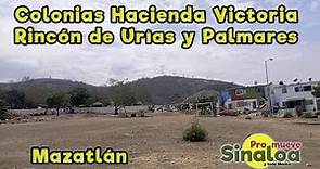 Colonias Hacienda Victoria, Rincón de Urías y Palmares
