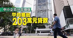 【中小企貸款】中小企百分百擔保特惠貸款　92%獲批、涉貸款額1,243億元 - 香港經濟日報 - 即時新聞頻道 - 商業