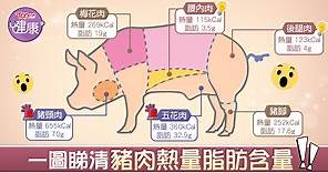 【豬肉營養】營養師拆解豬肉營養圖鑑　豬頸肉五花肉熱量脂肪爆燈 - 香港經濟日報 - TOPick - 健康 - 保健美顏
