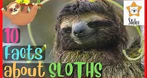 SLOTHS for Kids | 10 interesting facts about SLOTHS
