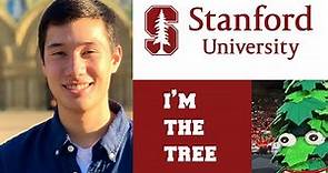 Stanford University: How I became the school mascot (The Stanford Tree)