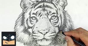 How To Draw Tiger | YouTube Studio Sketch Tutorial