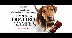 Un Viaggio a Quattro Zampe - Trailer italiano | Dal 14 marzo al cinema