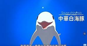 《中華白海豚》｜ #台灣特有種 2 ｜配音 #侯佩岑