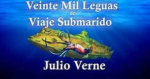 20000 Leguas de Viaje submarino de Julio Verne - RESUMEN