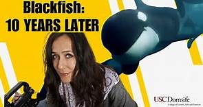 Blackfish Documentary Filmmaker Shares Lessons, Reflects 10 Years Later