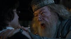 Dumbledore Asked Calmly