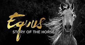 Equus | Story of the Horse | Origins
