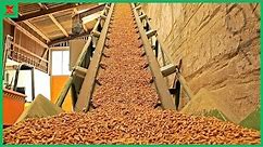The Production Process Of Wood Pellets For Winter Heating. Wood Chip Boiler. Pellets Made From Grass