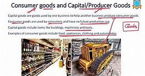 What is Capital Good vs Consumer Good ? || Capital Good vs Consumer Good అంటే ఏమిటి? ||La Excellence