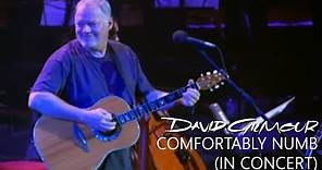 David Gilmour - Comfortably Numb (In Concert)