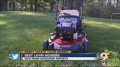 Which lawnmower is best?