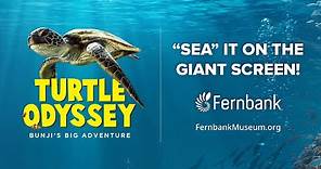 Turtle Odyssey Giant Screen Movie Trailer