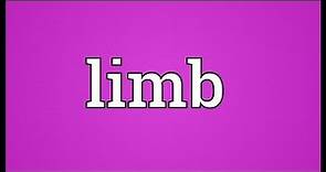 Limb Meaning