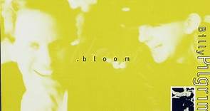 Billy Pilgrim - Bloom