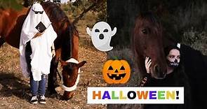 Ideas de disfraces con tu caballo para Halloween | Laia x Xaloc