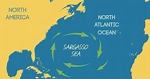 The Sargasso Sea|Facts about the sargasso sea|Sargassum seaweed|North Atlantic Gyre|Bermuda|volta do