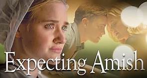 Expecting Amish (2014)