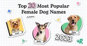 Top 20 Most Popular Female Dog Names of 2023