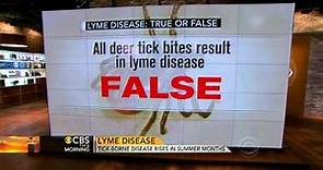 Lyme disease: What you need to know about ticks