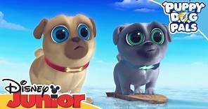 Surf's Up Pups! | Puppy Dog Pals | Official Disney Channel Africa