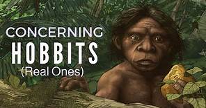 Concerning Hobbits - The Story of Homo floresiensis ~ with DR KAREN BAAB