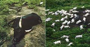 「無聲滅村」一夜之間1700人慘死！上千頭牲畜倒地暴斃 兇手竟是一座湖