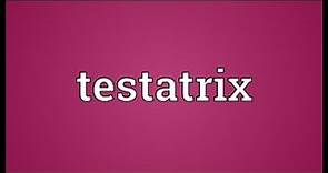 Testatrix Meaning