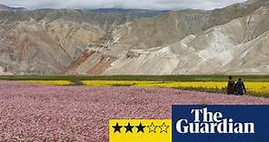 In Praise of Nothing review – lilacs, landscapes and sixth-form philosophy