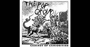 The Pop Group ‎– Cabinet Of Curiosities LP