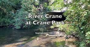 River Crane at Crane Park September 2021