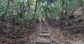 彰化]桃源里森林步道 |三清宮森林步道 & 龍鳳谷森林步道 |歡喜生態園、吊索橋