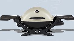 6 Best Portable Gas Grills to Get You Cooking Anywhere