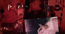 Injection Fatale ( Lethal Dose), Film UK, Épouvante Horreur, 1h 35, 2005, De Simon De Selva, Avec Katharine Towne, Melanie Brown, Tom Hardy