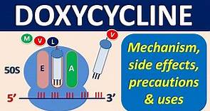 Doxycycline - Mechanism, precautions, side effects & uses