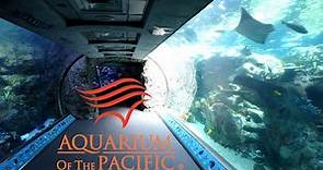 Aquarium Of The Pacific Tour & Review with The Legend