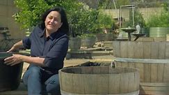 The Garden Gurus - Wine Barrels as Ponds