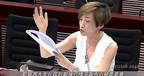 陳淑莊：我有合理懷疑，『柏志高先生』(西九文化區管理局行政總裁)在講大話。