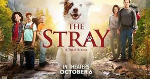 The Stray (2017) Official Trailer