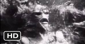 Creature from the Black Lagoon Official Trailer #1 - (1954) HD