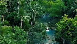 Willkommen auf den Philippinen, genauer gesagt auf der Insel Siquijor 📍 Im Video seht ihr die Cambugahay Falls. Die Wasserfälle bestehen aus drei Ebenen mitten im Dschungel. Wer sich gerne einmal wie Tarzen fühlen möchte, kann sich mit Hilfe von "Lianen", bzw. Seilen in die Becken schwingen. Diese kosten ca. 50 PHP und können beliebig oft genutzt werden. 💚 🎥 @philwood_09 #travador #travamoments #philippinestravel #siquijor #siguijorisland #dschungel #adventuretime #takemeaway #travelguide | T