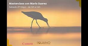 Masterclass con Mario Suarez. Inspirado por las aves